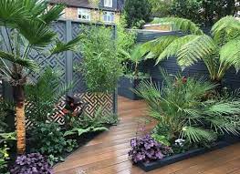 Small Tropical Garden Ideas Uk Extra