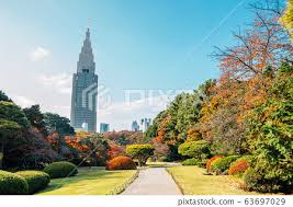 shinjuku gyoen park at autumn in tokyo