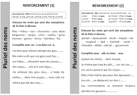 Orthographe - Renforcement pluriel des noms - CE2 - CM1 - Journal d'une PE  ordinaire