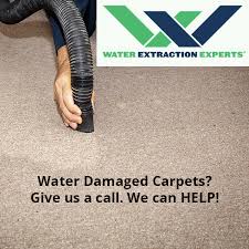 handling water damaged carpet
