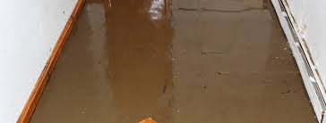 Flooded Basement With No Sump Pump