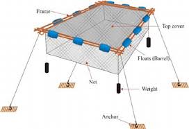 1: Layout of small-scale fish cage showing suspended anchors, nets and... | Download Scientific Diagram