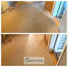 1 carpet cleaning in westbury ny with