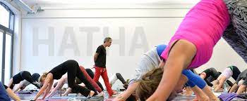what is hatha yoga definition