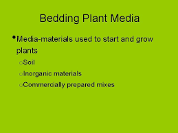 media containers used in bedding plant