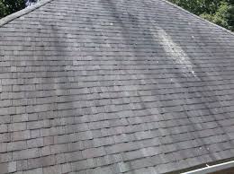 prevent algae stains on your roof