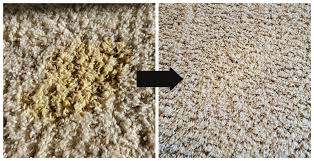 remove old and new carpet pet stains