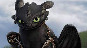 toothless wallpaper 75 pictures