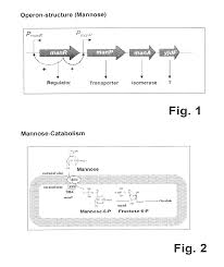 Patent Report Us9970017 Regulation Of Inducible Promoters