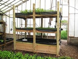 Backyard Aquaponics System