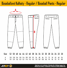 Custom Baseball Pants Regular Jersey53