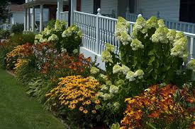 Image result for beautiful perennials landscaping