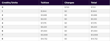 nyu summer program all you need to