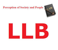 Law  LLB    Undergraduate  University of York