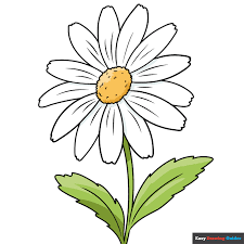 how to draw a daisy flower really