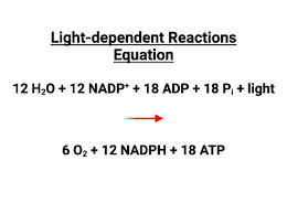 Yzing The Coordinated Reactions In