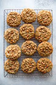 soft chewy oatmeal scotchies sally