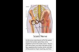 The sounds which are produced touching this area with the back of the tongue are called velar the various organs which are involved in the production of speech sounds are called speech. That Pain In Your Butt May Be Something More The Virginian Pilot