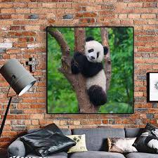 Animal Panda Wall Art Cute Baby Panda