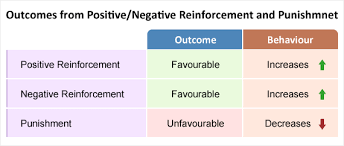 12 High Quality Reinforcement Definition