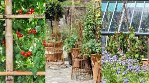 vegetable garden trellis ideas 18 ways