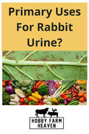 uses for rabbit urine fertilizer and
