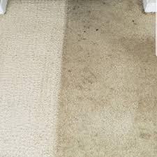 top 10 best carpet cleaning service