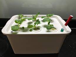 hydroponics kit