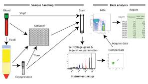 A Model For Harmonizing Flow Cytometry In Clinical Trials
