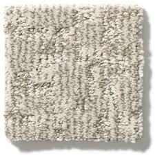 anderson tuftex paw tay birch carpet