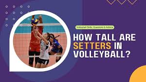 how tall are setters in volleyball