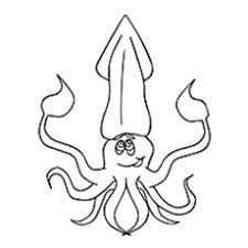 The file includes 4 pages for kids to color. Top 10 Free Printable Squid Coloring Pages Online