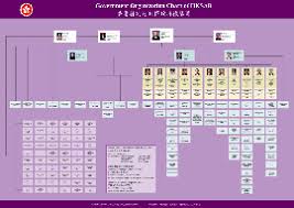 China Concept Consulting Government Organization Charts