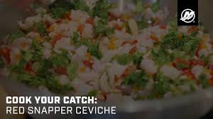 cook your catch red snapper ceviche