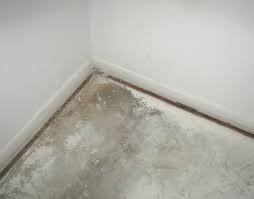 weakened immune system and indoor mold