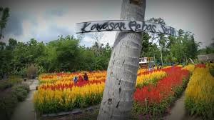 Negeri sakura ini sudah berhasil menjadi salah satu negara maju di asia dan bahkan juga dunia. Taman Bunga Kebon Asri Bayat Klaten Info Lif Co Id