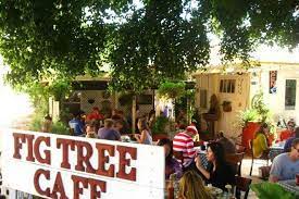 fig tree cafe is one of the best