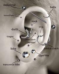 the least to most painful types of ear