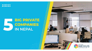 5 big private companies in nepal