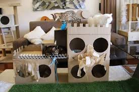 8 diy indoor cat house plans you can
