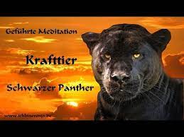 Schwarzer panther krafttier