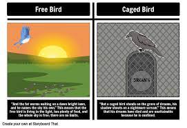 comparing birds in caged bird