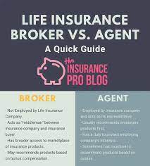 The Insurance Pro Blog gambar png