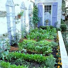 How To Grow An Edible Garden