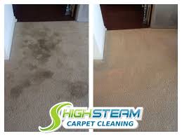 1 steam carpet cleaning in ta fl