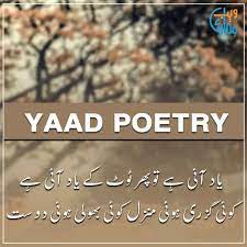 yaad poetry best yaad shayari in urdu