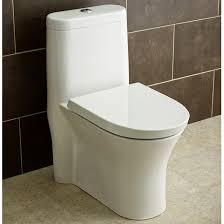 It has a compact design that will allow you to easily. American Standard Cosette Elongated Toilet 1 Piece White 750ca200 020 Rona