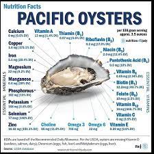 sustainable pacific oyster farming