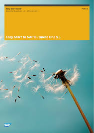 Easy Start To Sap Business One 9 1 Manualzz Com