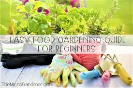 Easy Food Gardening Guide For Beginners